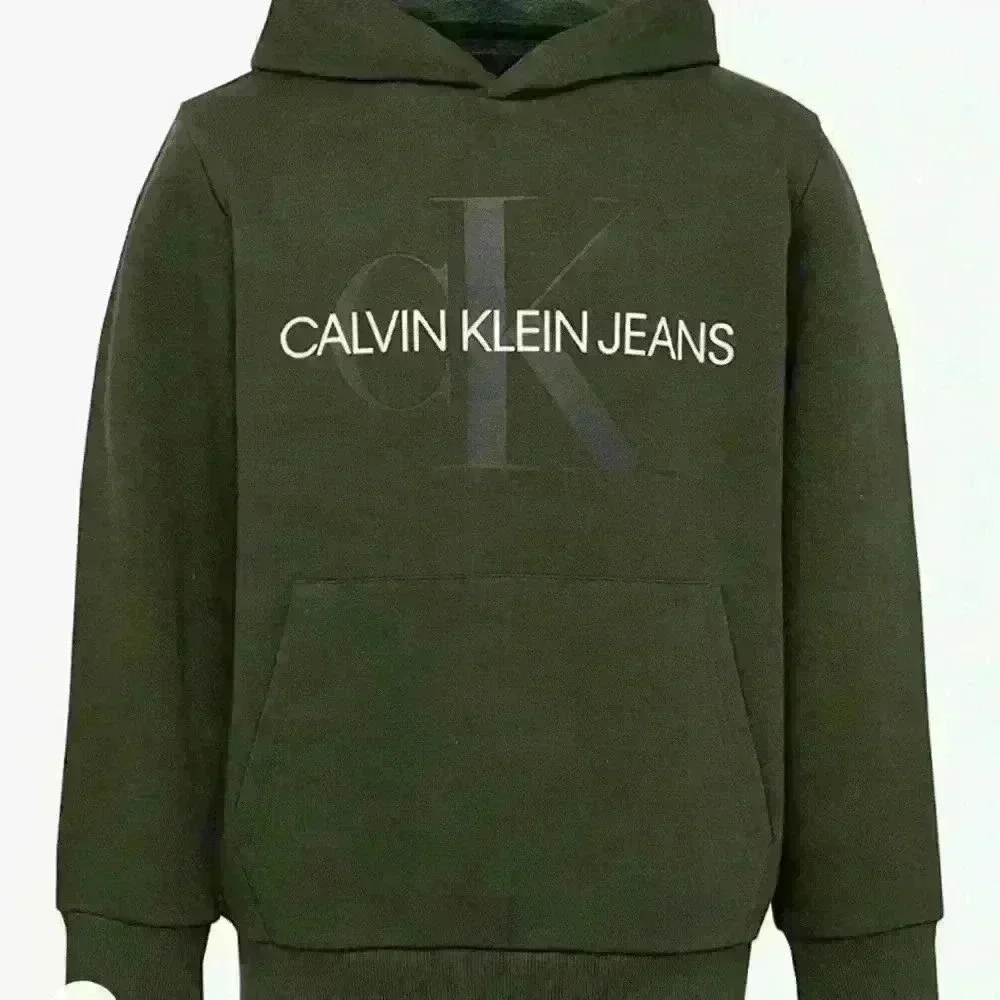 Calvin Klein Big Boys Old School Logo Pullover Hoodie Sequoia M(10/12) - Picture 1 of 9